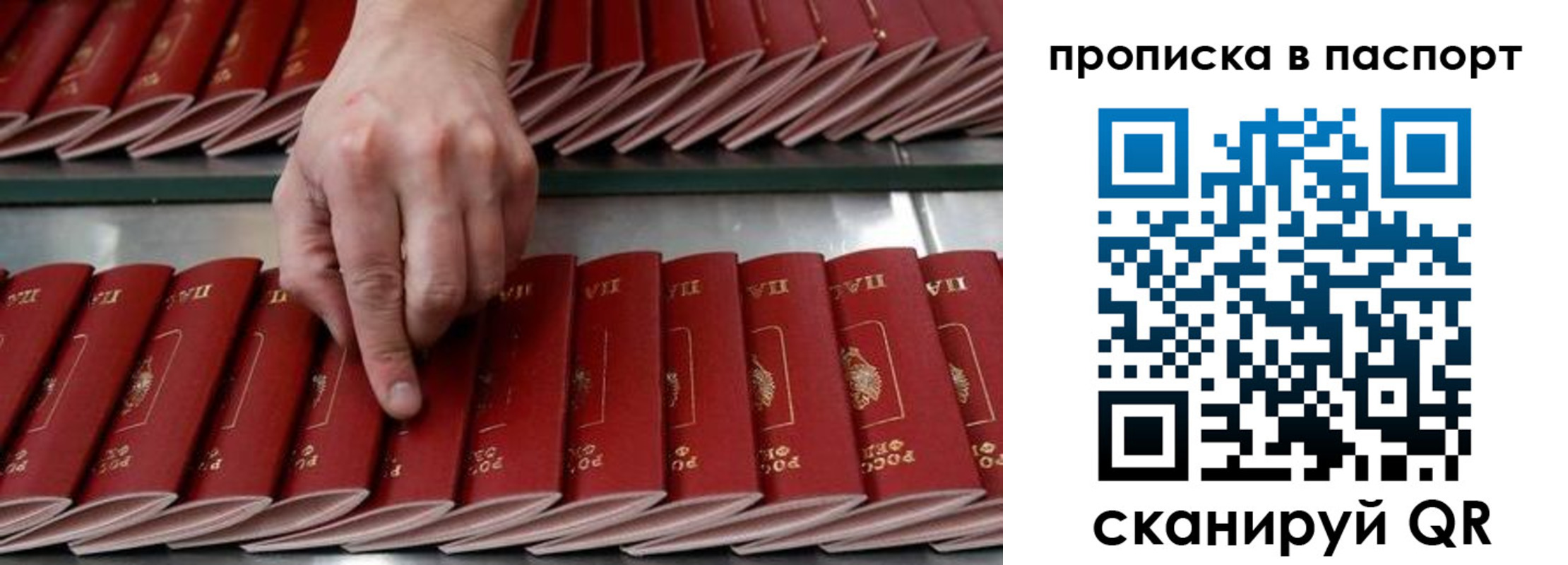 регистрация для школы в Зеленоградске